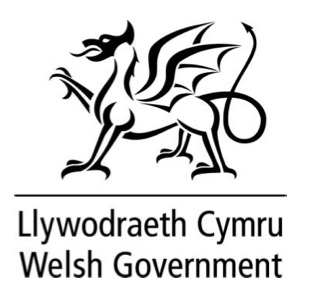 Welsh government